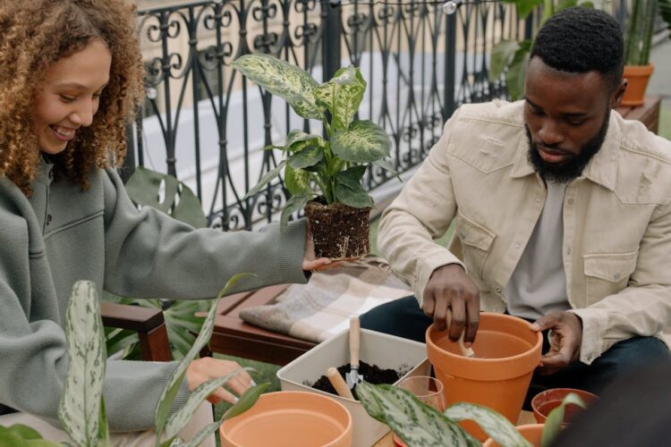 A Young Adult’s Guide to Setting Up an Apartment Garden Area
