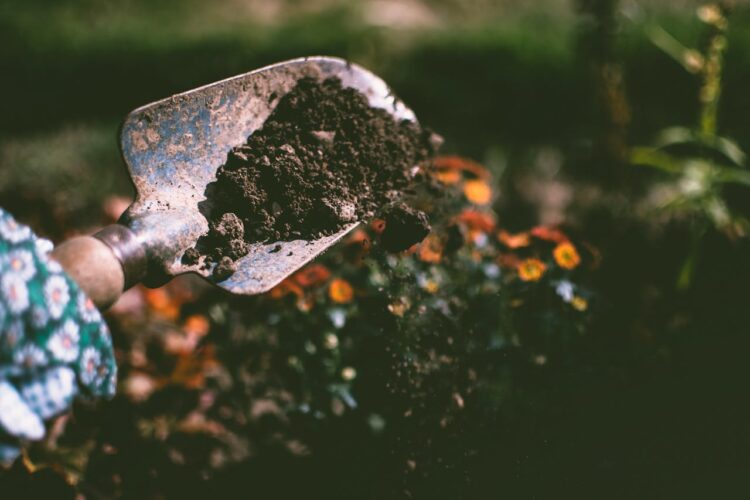 6 Tips to Help Young Adults Start a Landscaping Business